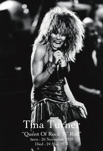 Vintage Music Art Poster Tina Turner A4 A3 A2 A1 No 1020
