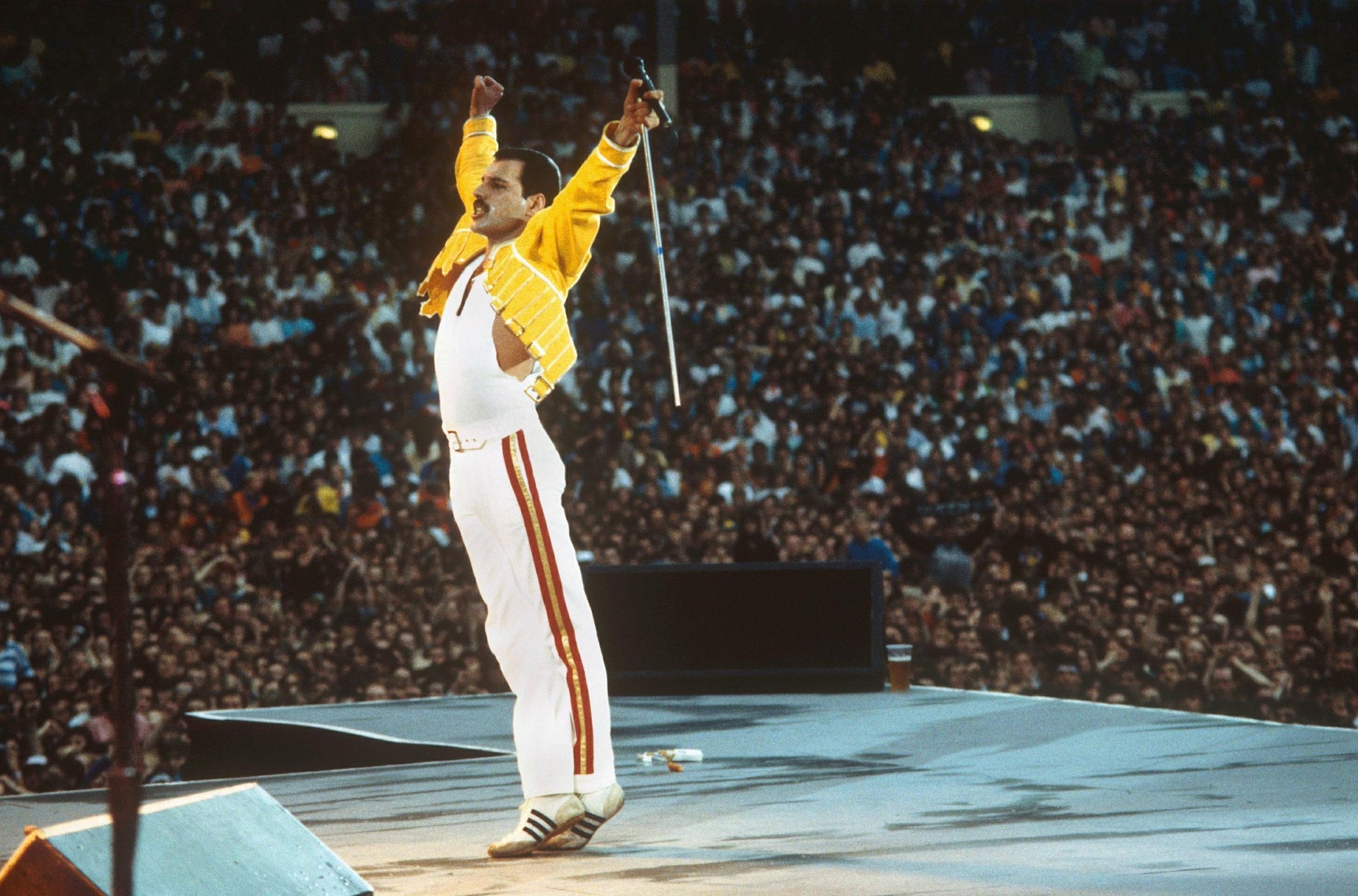 0768 Vintage Music Art Poster Freddie Mercury